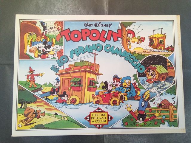 Topolino e lo strano campeggio
