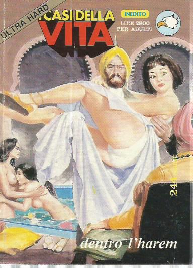 I Casi della vita Ultra hard n.  7 - Dentro l'harem