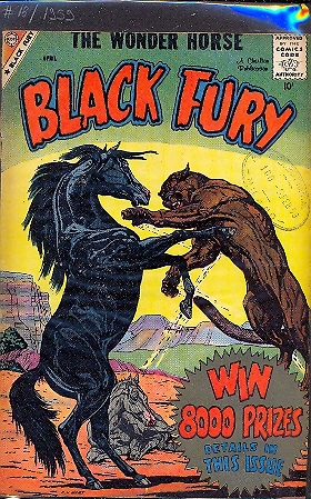 BLACK FURY n.18