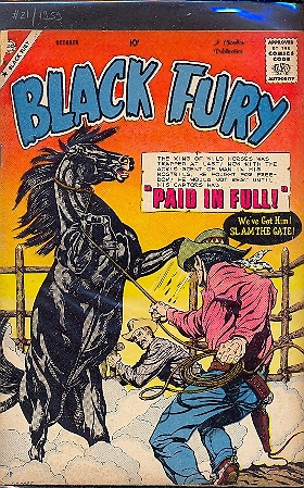 BLACK FURY n.21