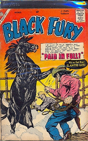 BLACK FURY n.21