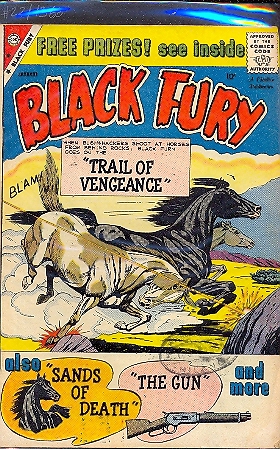 BLACK FURY n.22