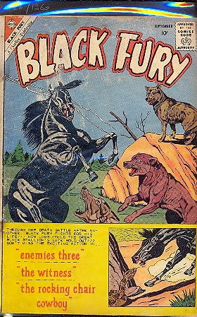 BLACK FURY n.26