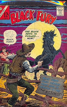 BLACK FURY n.55