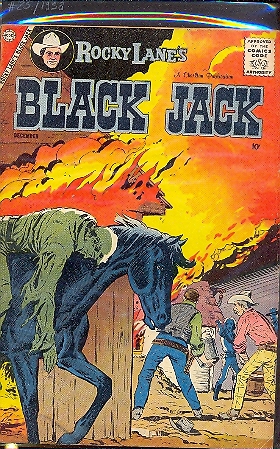 BLACK JACK n.25