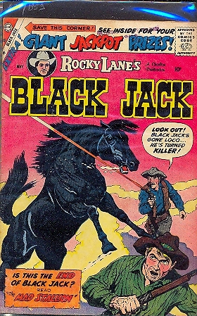 BLACK JACK n.27