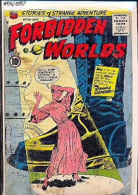 FORBIDDEN WORLDS n. 58